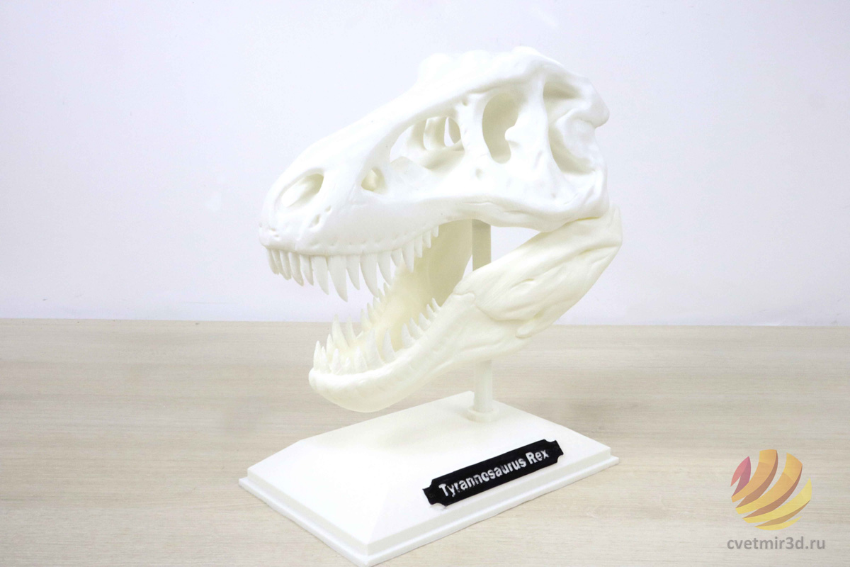 wanhao_d12 300_45.jpg