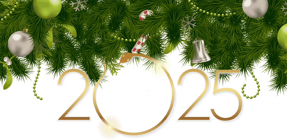 elochka-1-2048x746121.png elochka-1-2048x746121.png