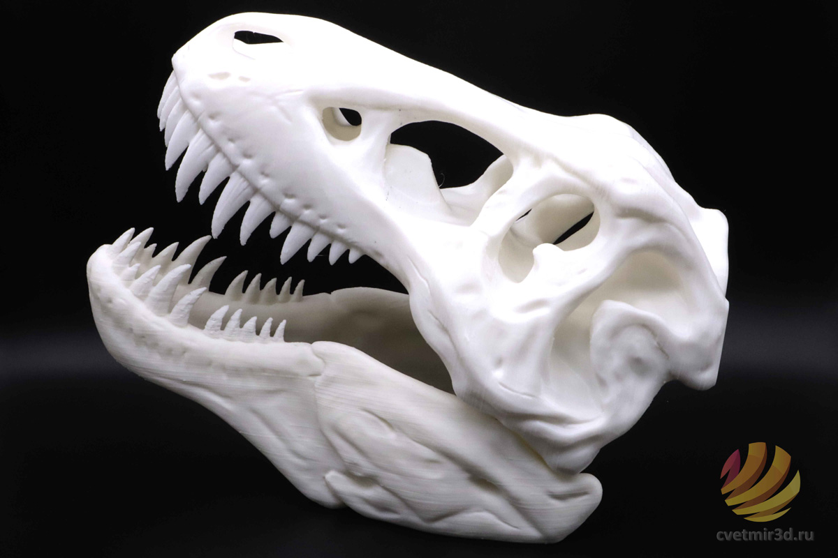 wanhao_d12 300_43.jpg