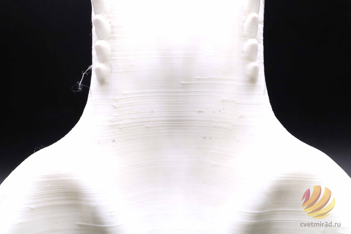 wanhao_d12 300_41.jpg