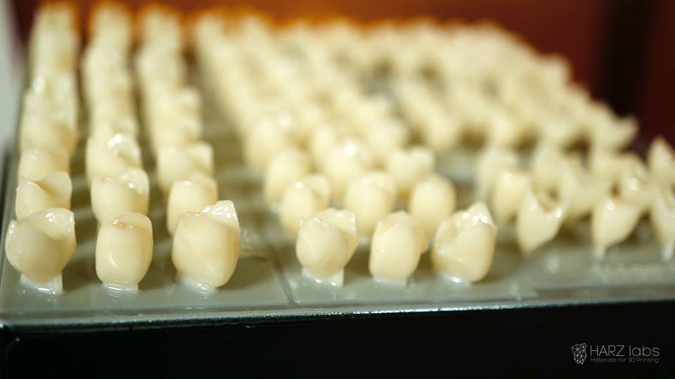 44671230_879452802445057_3630780655559770112_n.jpg