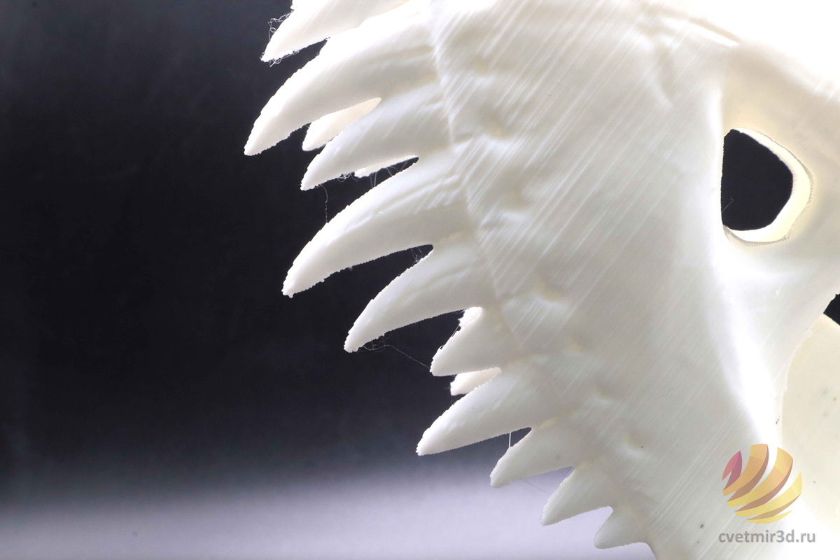 wanhao_d12 300_39.jpg