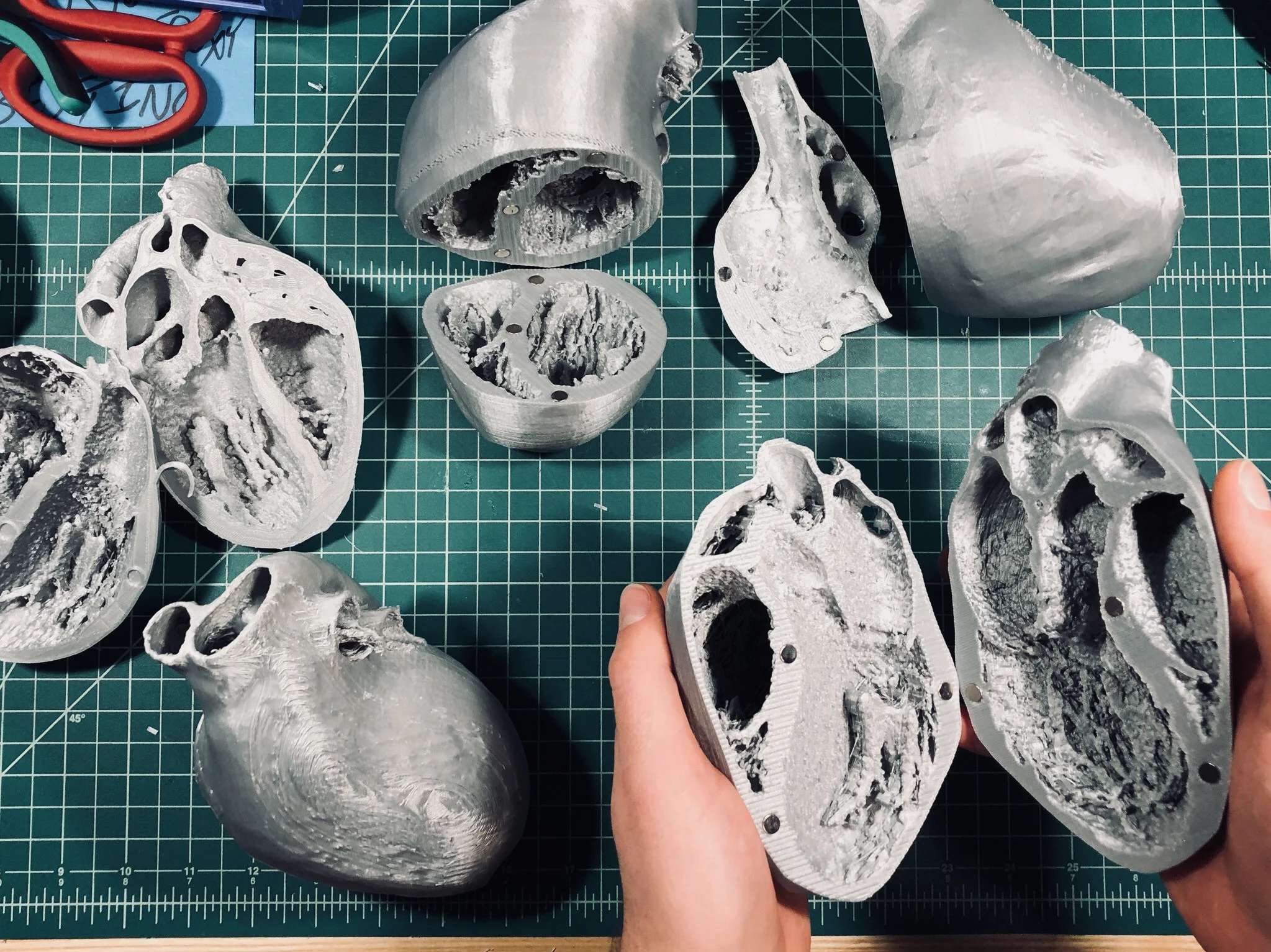 3dprinted heart model 3dprinted heart model