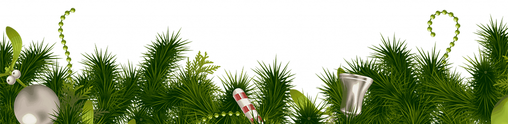 elochka-1-2048x746121334.png elochka-1-2048x746121334.png