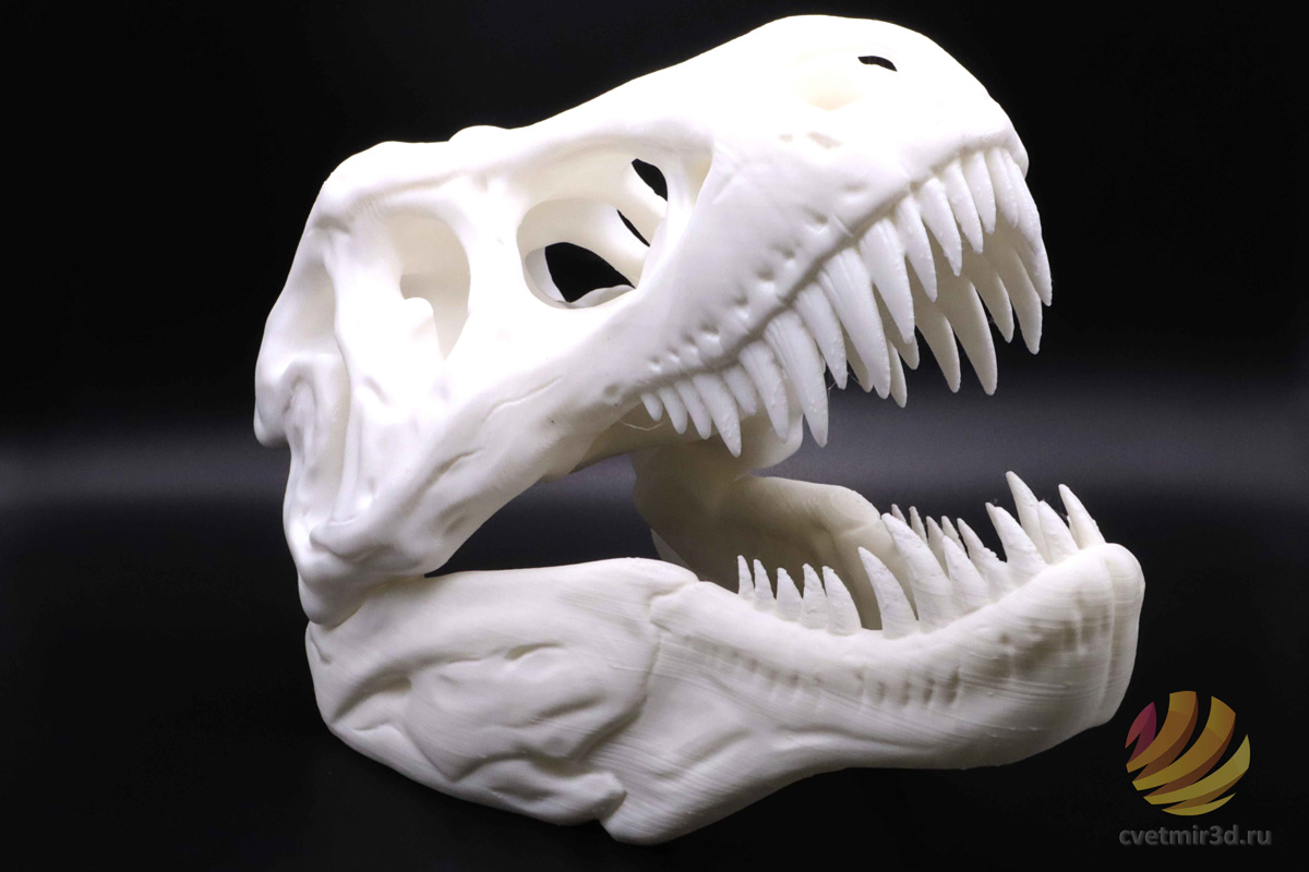wanhao_d12 300_44.jpg