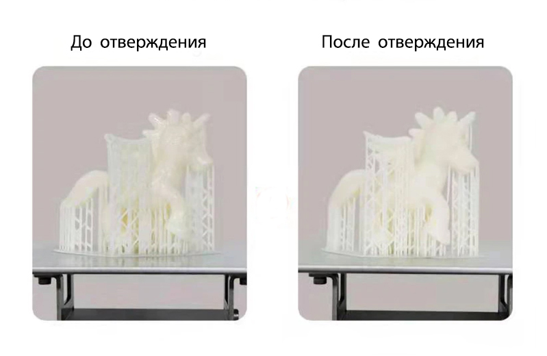 13.jpg 13.jpg