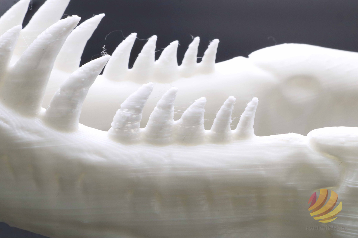 wanhao_d12 300_37.jpg